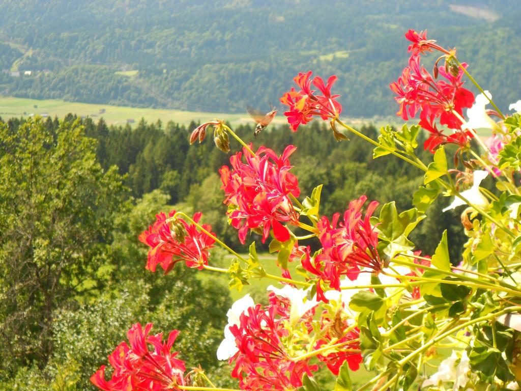 Andritsch Elfi Ferienwohnung Sankt Georgen im Gailtal Exterior foto