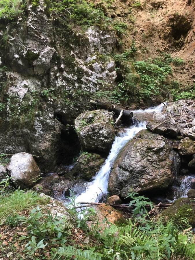 Andritsch Elfi Ferienwohnung Sankt Georgen im Gailtal Exterior foto