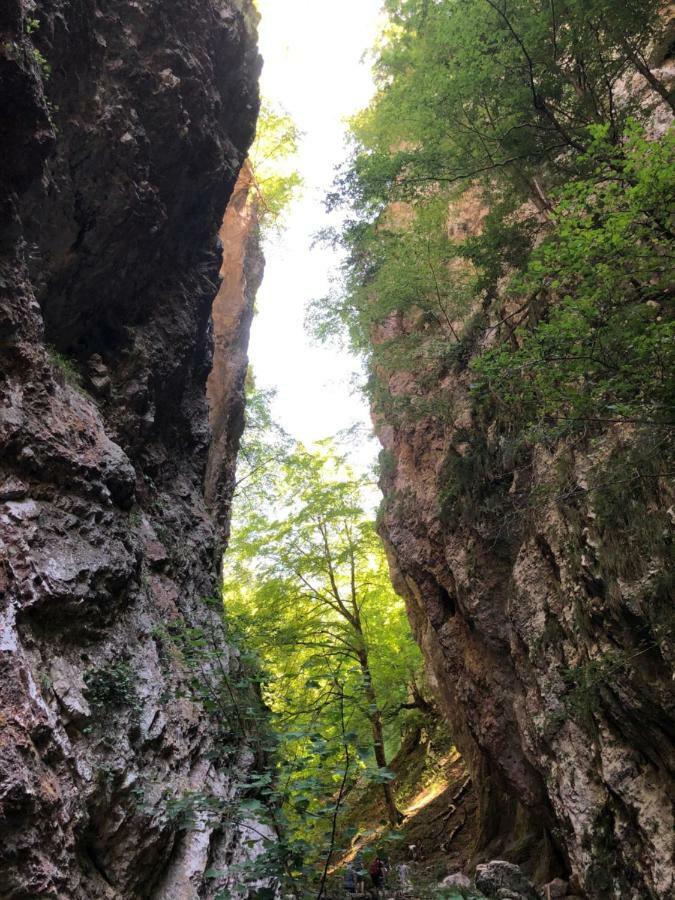 Andritsch Elfi Ferienwohnung Sankt Georgen im Gailtal Exterior foto